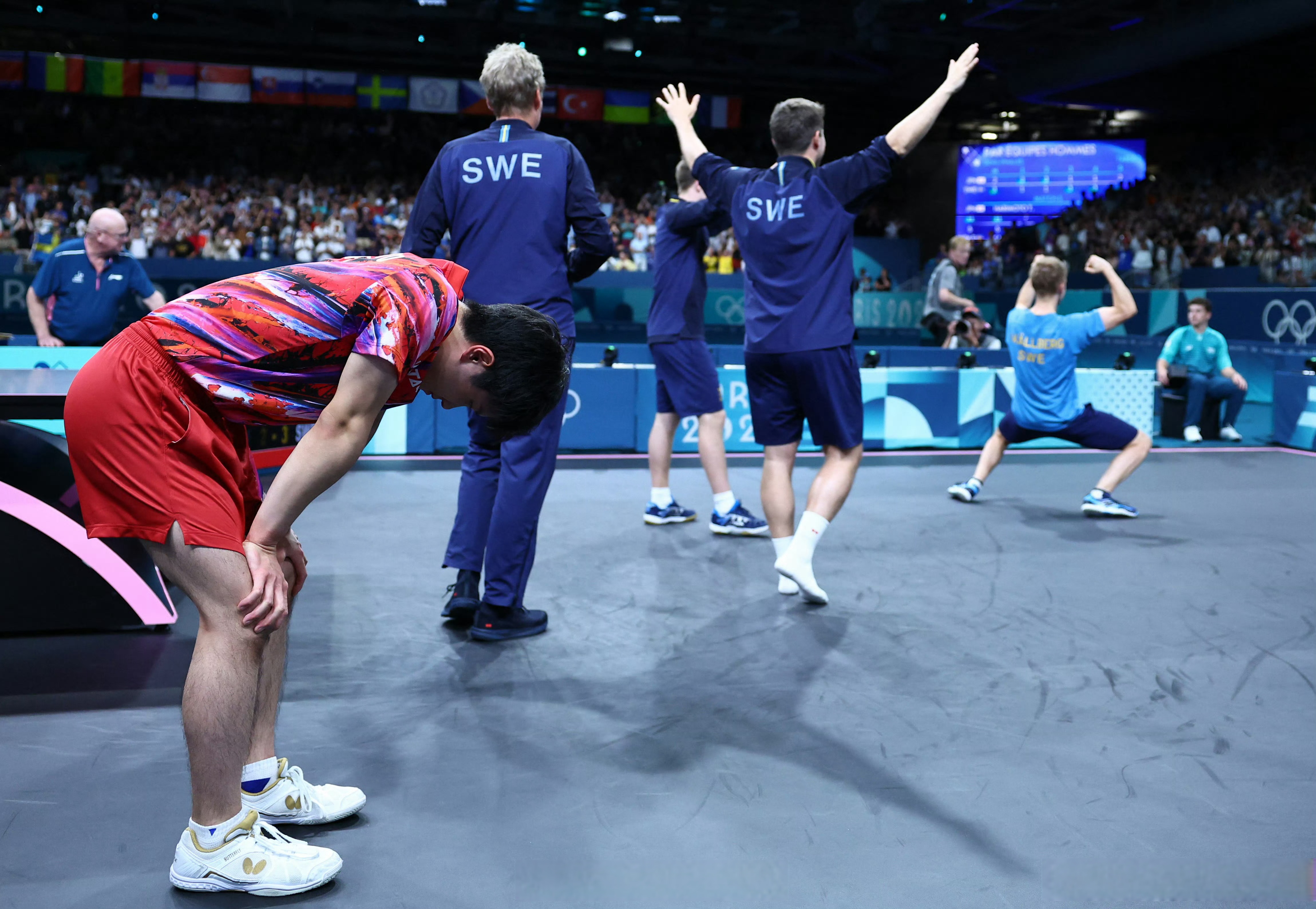 波兰队碾压中国队，张本智和惊艳四座的简单介绍