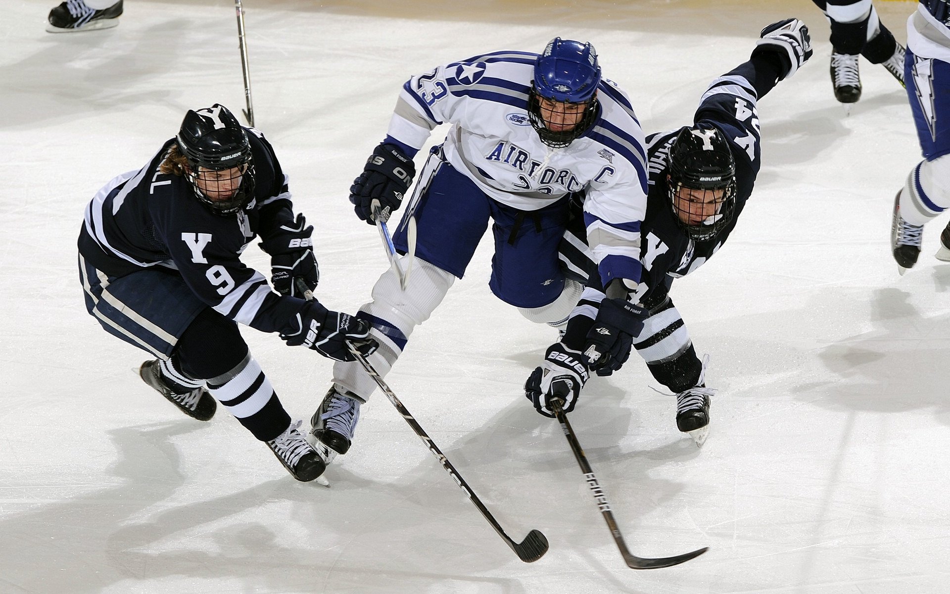 黄蜂蛰伏待发，雷霆万钧之势—F1新赛季揭幕战，一场颠覆预期的焦点对决